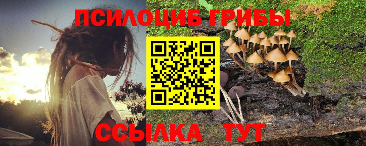Воткинск  Псилоцибиновые грибы мухоморы  Вход с VPN 