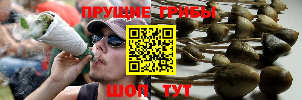 Галлюциногенные грибы мицелий Воткинск